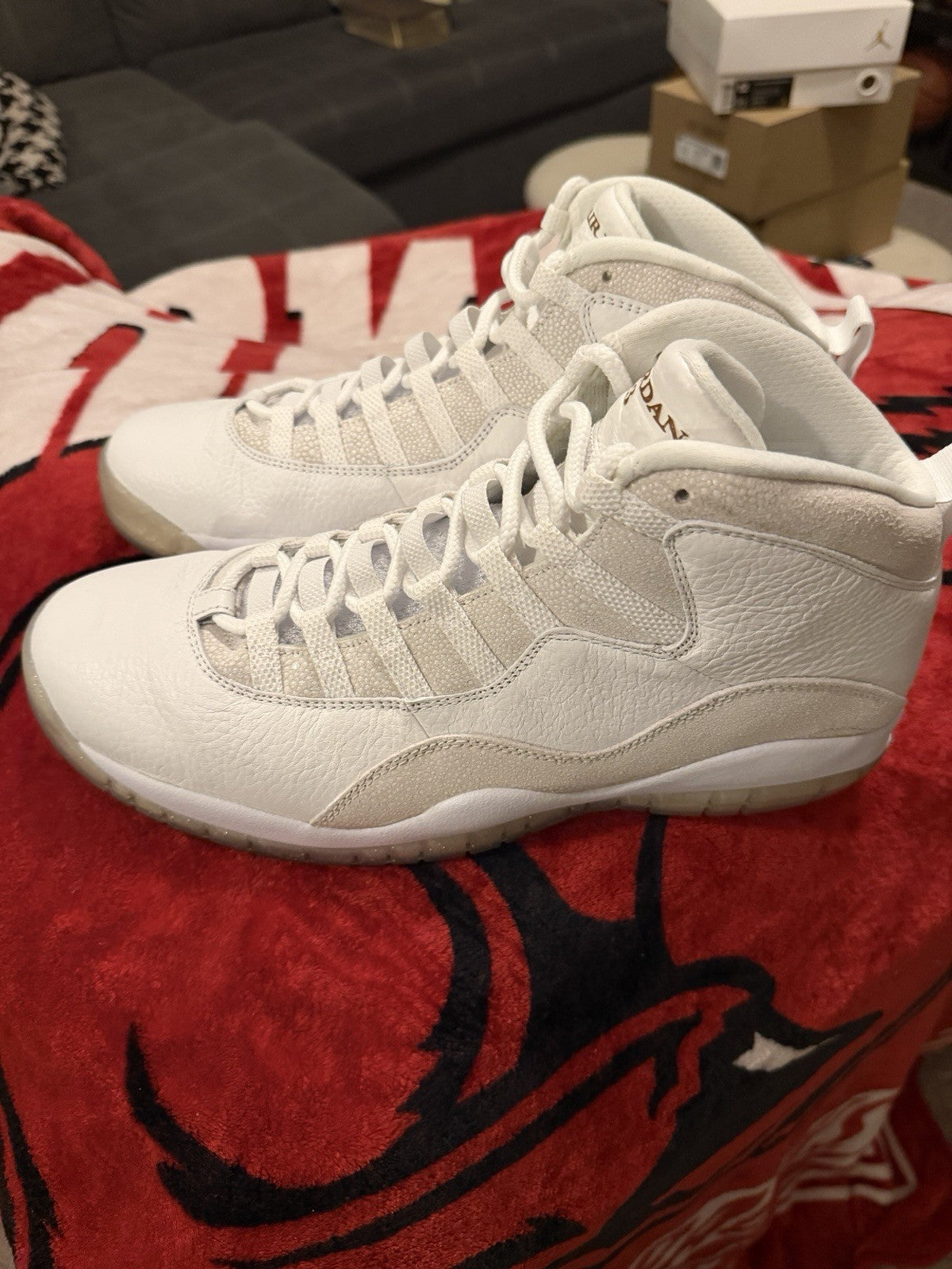 Jordan 10 Ovo Size 12