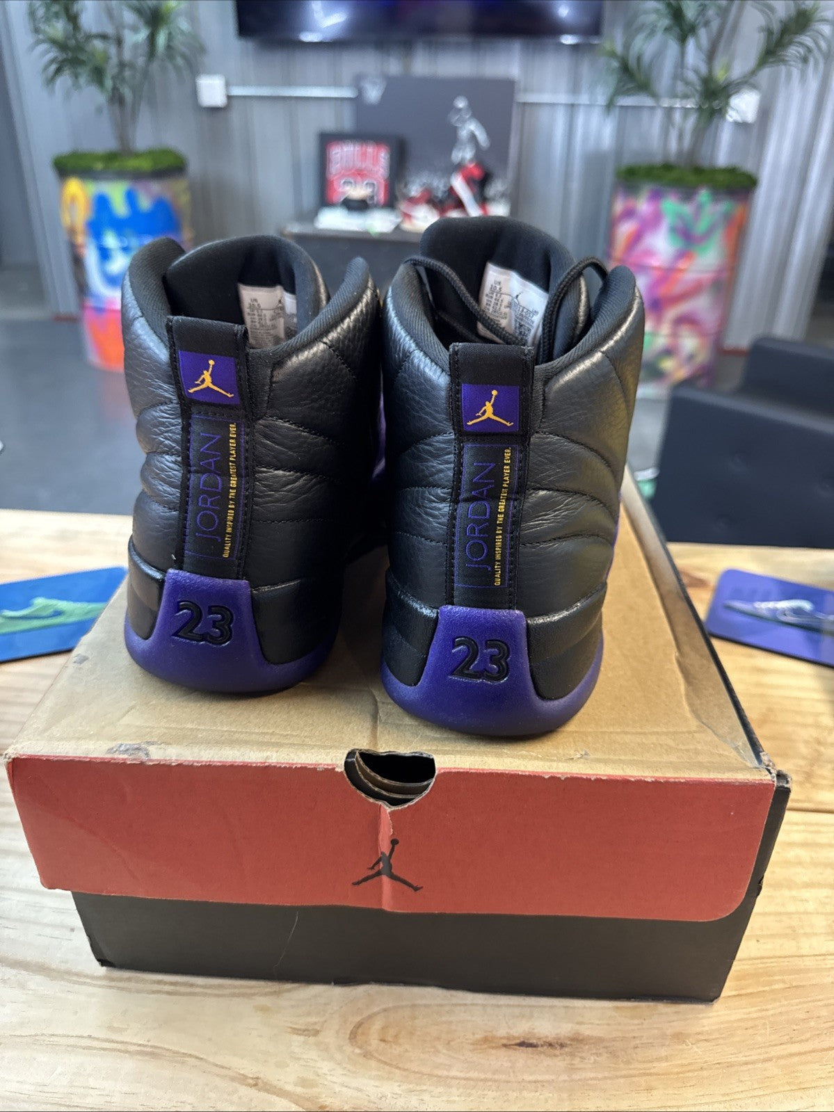 Size 10.5 - Jordan 12 Retro Mid Field Purple | Wore Once