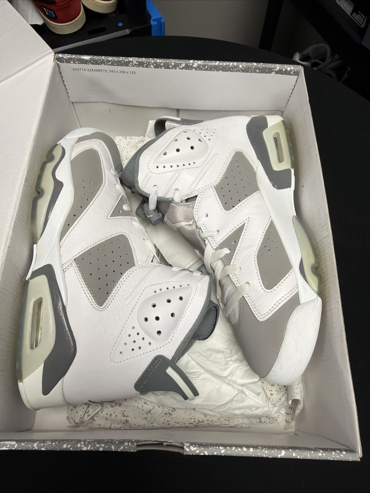 NEW AUTHENTIC NIKE AIR JORDAN 6 RETRO "COOL GREY" MEN'S US  9