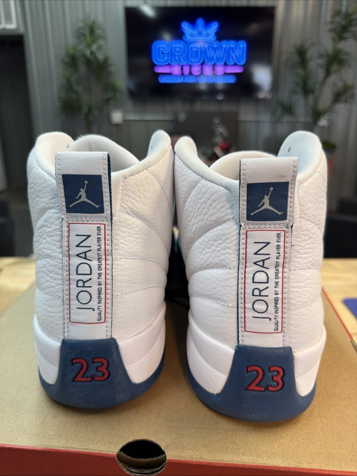 Jordan 12 French Blue Size 14 