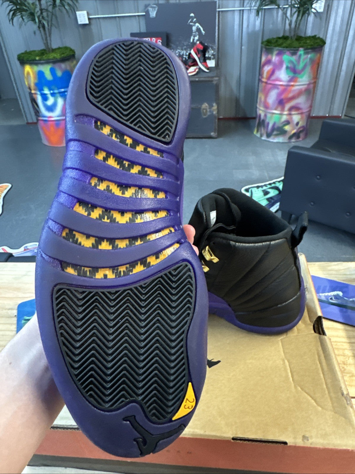 Size 10.5 - Jordan 12 Retro Mid Field Purple | Wore Once