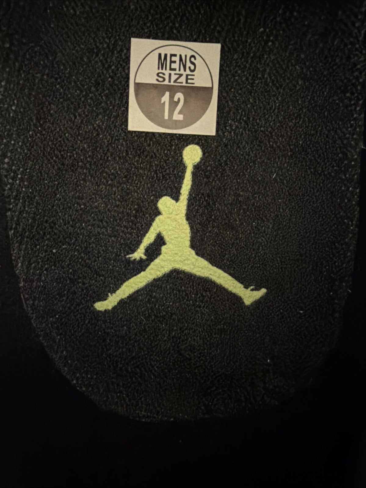 Jordan 11 Low Mens Snakeskin Size 12 Green Black Snakeskin