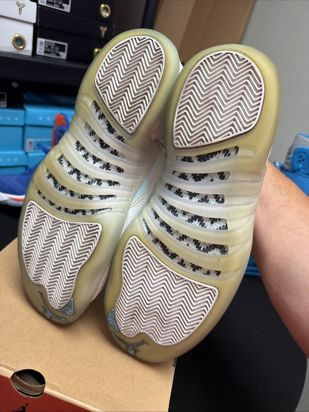 Size 11 - Air Jordan 12 Retro Low Easter
