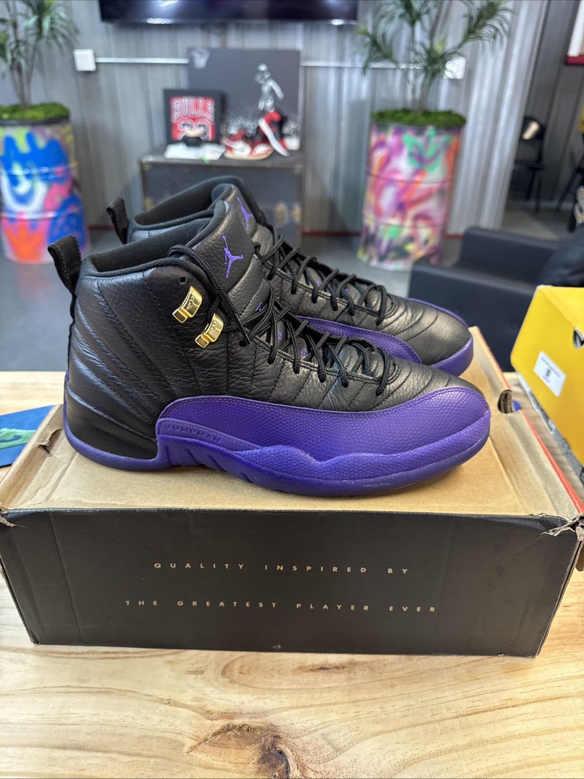 Size 10.5 - Jordan 12 Retro Mid Field Purple | Wore Once
