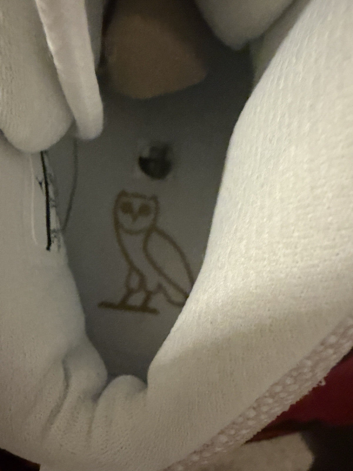 Jordan 10 Ovo Size 12