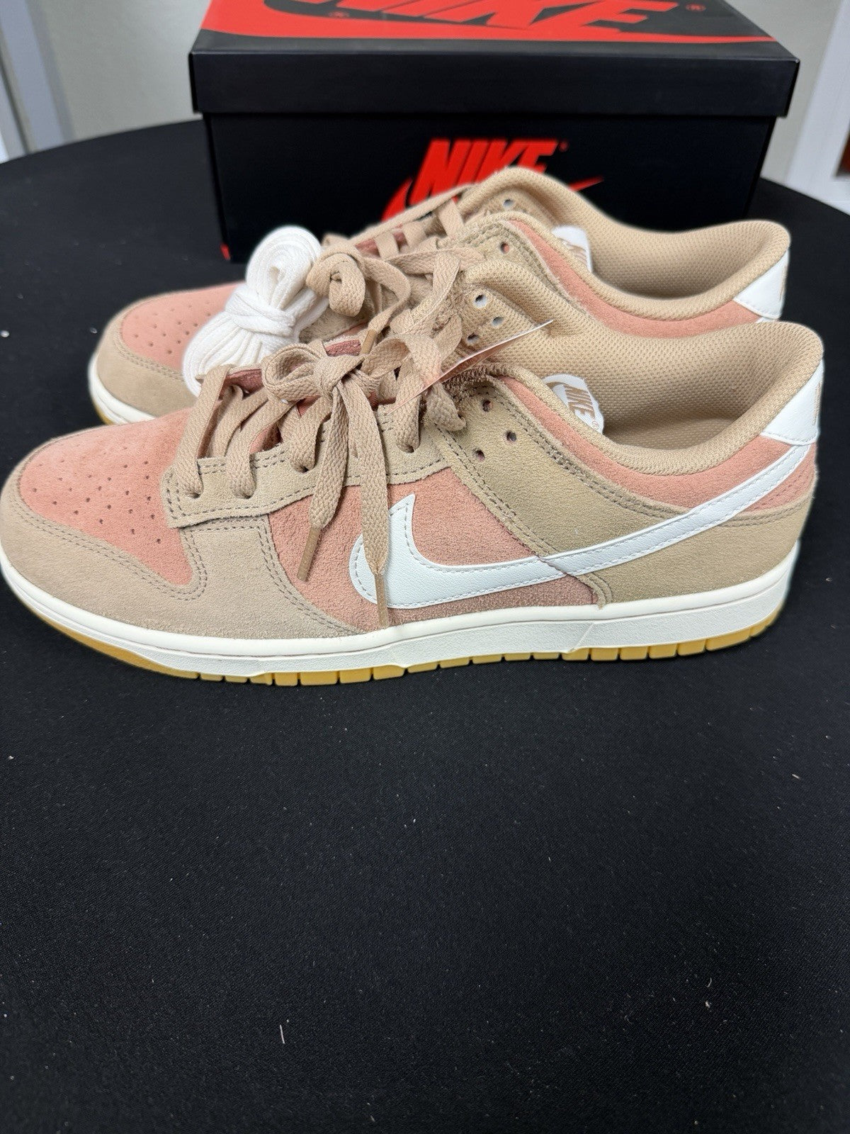 Nike Dunk Low Retro SE Men 10 Prm Suede  NO LID HQ1931-200￼