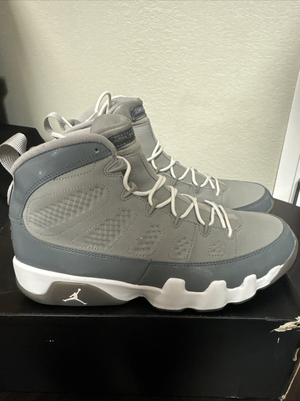 Jordan 9 Cool Grey Size 10.5