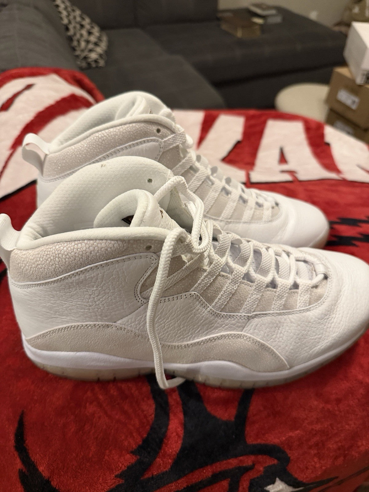 Jordan 10 Ovo Size 12