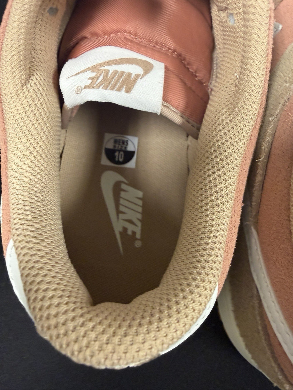 Nike Dunk Low Retro SE Men 10 Prm Suede  NO LID HQ1931-200￼