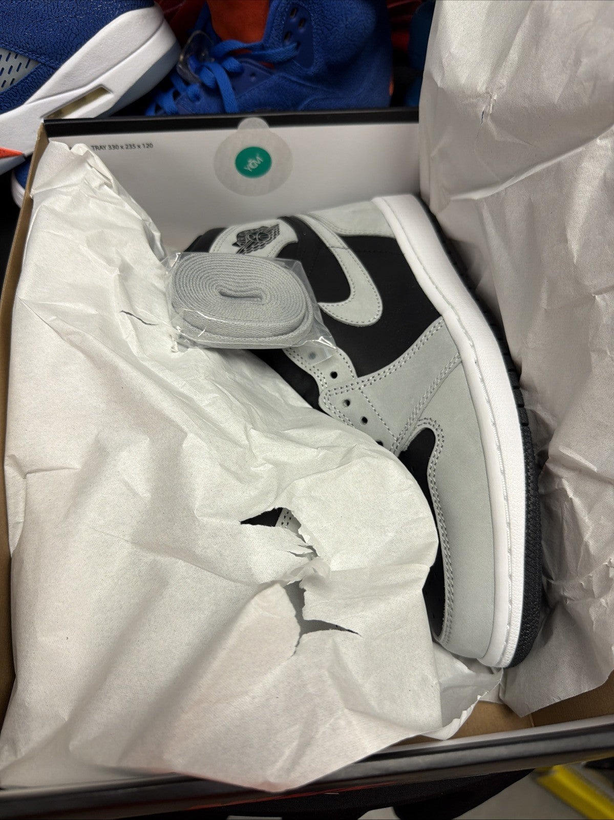 Size 10 - Jordan 1 Retro OG High Shadow 2.0