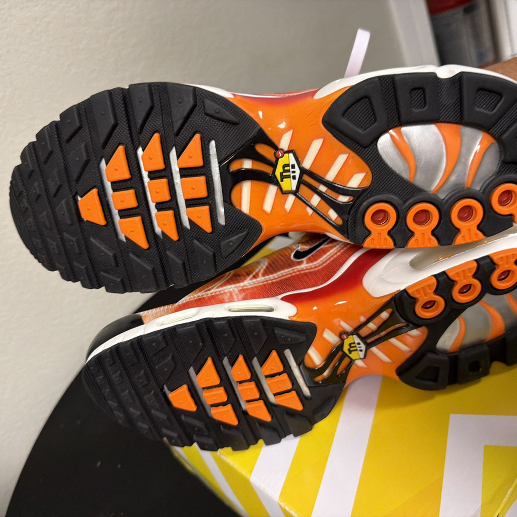 Nike Air Max Plus OG DZ3531-600 "Light Photography - Sport Red" Size 9 SAMPLE