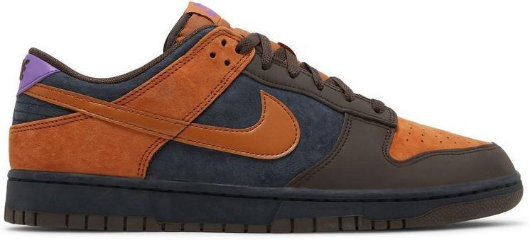 Size 10.5 - Nike Dunk Cider | Wore Once