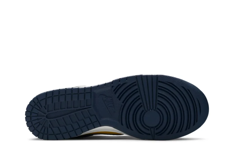 Dunk Low Michigan 2021 4